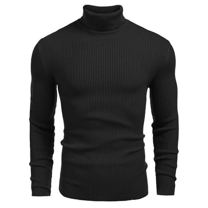 Men's high-neck sweaters for autumn and winter