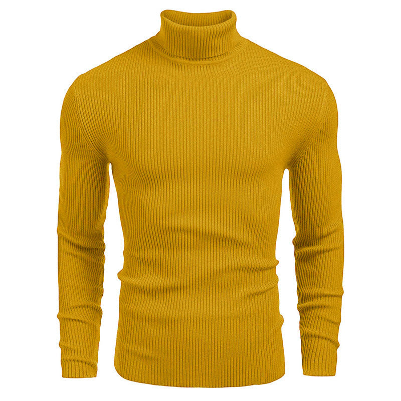 Men's high-neck sweaters for autumn and winter
