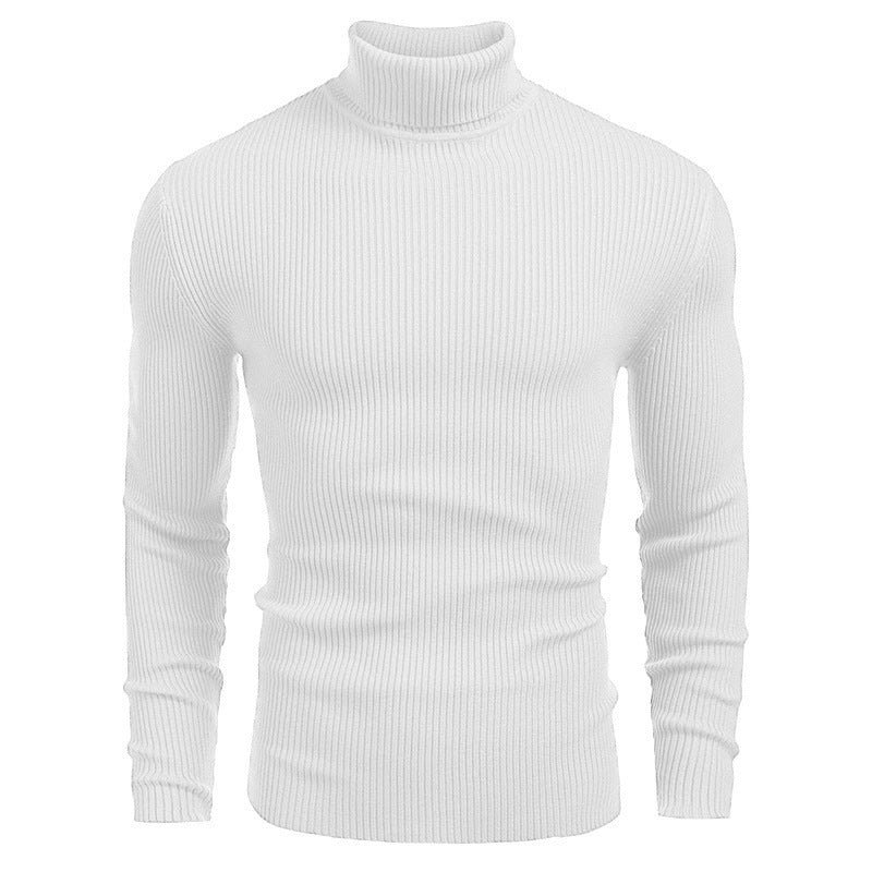 Men's high-neck sweaters for autumn and winter