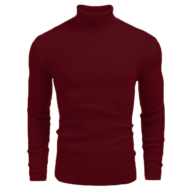 Men's high-neck sweaters for autumn and winter